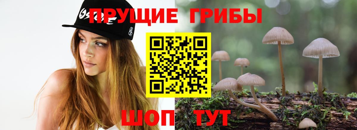 Галлюциногенные грибы прущие грибы Можайск